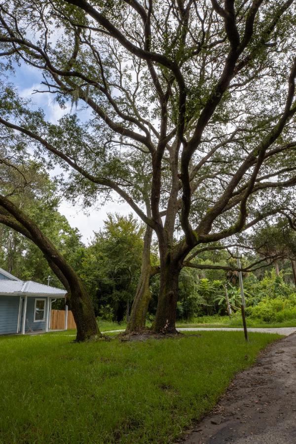 Recharge Getaway To Historic Downtown & Beach New Build St. Augustine Exteriér fotografie